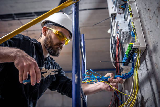 Best Electric Panel Repair  in Sherman, TX